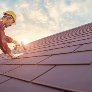 shutterstock_1913616712