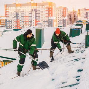 shutterstock_795460390